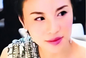 常熟第一美人：骗17亿，回国整容被判死刑