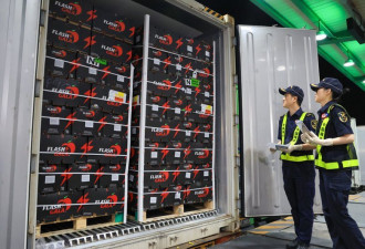 中国对53个非洲建交国零关税5月1日生效