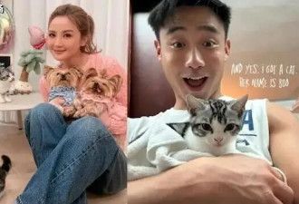 兜兜转转终嫁年下男！蔡卓妍曾坦言不在乎婚礼，被阿娇公开催生