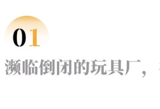 两位女性学者，“潜伏”饭圈1800天