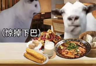 注意！千万别跟刚回国的留学生吃饭