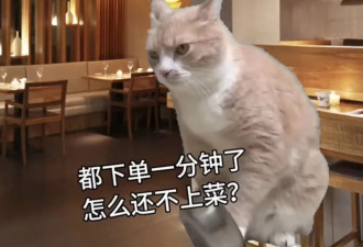 注意！千万别跟刚回国的留学生吃饭