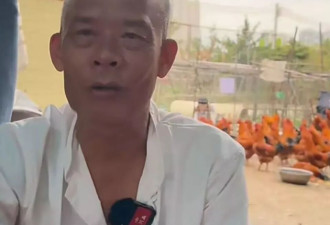 莫氏鸡煲爆火,老板回应日赚6万,担心有命赚没命花