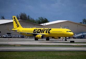 美精神航空“宣布倒闭”所有航班即刻取消
