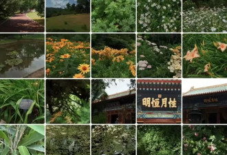 最后一批90后，连青年都不算了