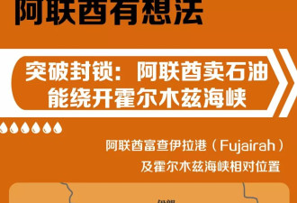 阿联酋已正式退出，7年4国与欧佩克“分手”