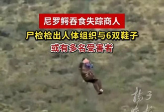 商人失踪疑被鳄鱼吞食 解剖发现鳄鱼肠内有6双鞋