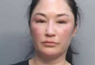 亚裔女拒挂断电话引发机舱混乱全机崩溃 航班延误