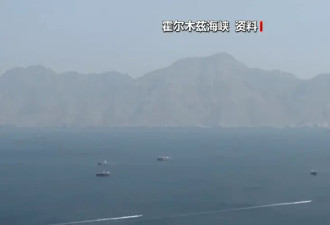 伊第一副总统:管控霍尔木兹海峡是伊朗的合法权利