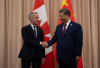 又吵起来了! 保守党猛批卡尼对美谈判无牌可打