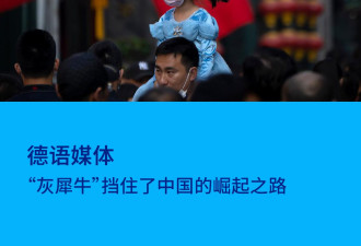 这只“灰犀牛”，让中国赶超美国遥遥无期