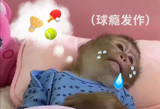 最被低估的延寿运动!跑步,游泳都不如它