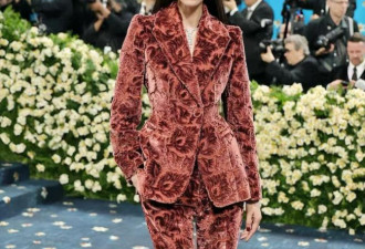 红毯终于好玩了 2026 Met Gala