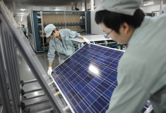 内卷惨烈 多家龙头亏惨了