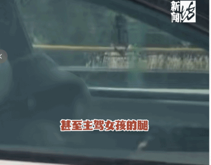男子开车返沪路上看懵:旁边车辆主副驾疑似全在睡