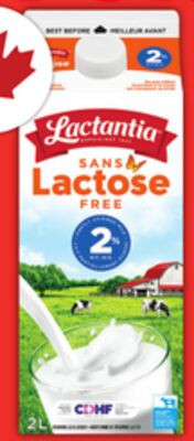 Lactantia 纯净牛奶 / 无乳糖牛奶 4L