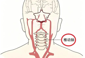 用错枕头可能损伤脑血管 专家:一个拳头高最安全