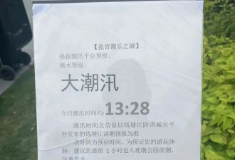 被钱塘江观潮古镇游套路了
