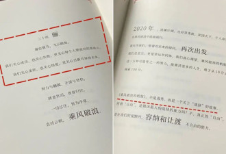 陪我们7年的浪姐，好像再也回不去了