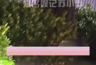 曹云金与女子车内亲昵互动 在路边草丛一边小便一边吐痰