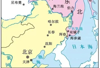 是谁组织中国小学生参加海参崴“胜利曾孙”庆典？