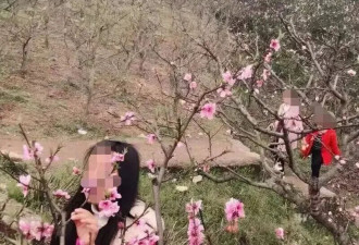 流量、亲情与“剩余价值”：一个植物人女性的593天