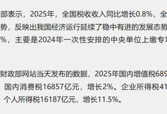 躺平可以，不交税不行