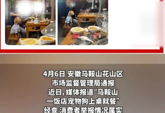 “顾客用餐盘喂狗”引争议,多家店老板砸餐具停业