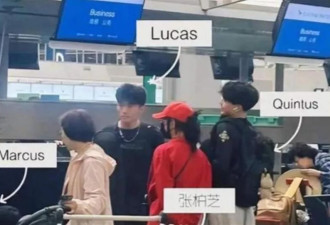 被谢贤前女友曝三胎生父后，张柏芝专心陪伴三子