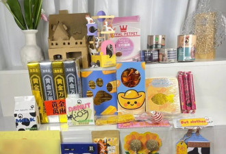 给宠物上坟，让我月入81万