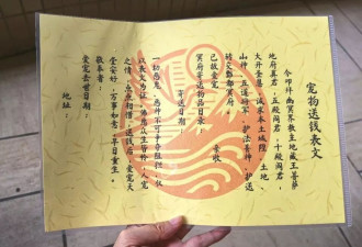 给宠物上坟，让我月入81万