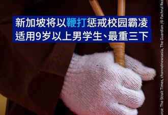 新加坡将以鞭打惩戒校园霸凌 适用9岁以上男学生