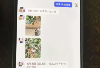 广州50万粉丝“捡瓶小狗”，疑被“毒狗团伙”盯上