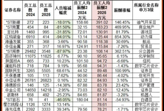 中国神仙公司，人均薪酬391万