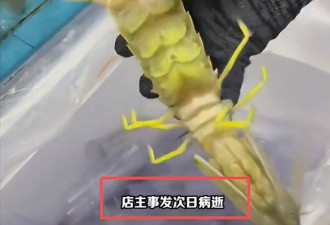 三亚海鲜宰客大反转 被网暴老板隔天去世 仅43岁