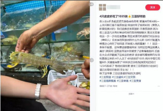 三亚海鲜宰客大反转 被网暴老板隔天去世 仅43岁
