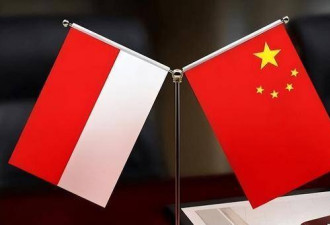 中国七年倾尽百亿出海，这项目竟成最蠢赔本买卖