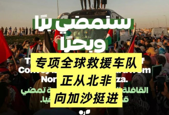 我正在去巴勒斯坦，急需律师和使馆援助！