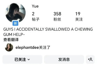 大s女儿小玥儿开通社交账号发布烟花照片 疑似缅怀母亲引发热议