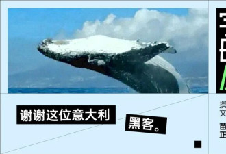 DeepSeek塞进苹果本儿 分币不花实现“龙虾自由”