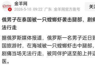 海底"拳王"太猛!俄男子被螳螂虾击中痛到无法行走