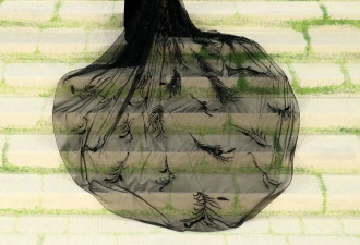 MetGala红毯“真大胆”，尺度一个比一个大，有人出糗有人惊艳