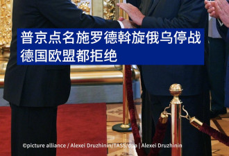 普京提议让施罗德斡旋俄乌停战 欧盟和德国拒绝