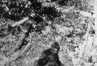 美国连爆多宗“大脚怪”目击事件 美军人:看到3只