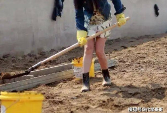 杨钰莹迎来55岁生日！定居深圳，每天打理菜园子