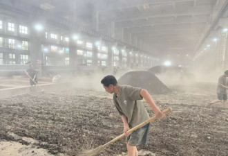 跌下神坛的茅台，开启了“远洋诉讼”