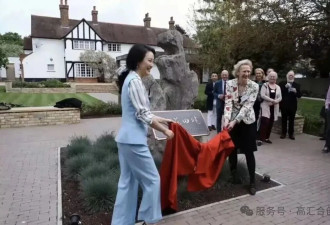 傅晓田的美国豪宅，撕开名利圈的底层规则