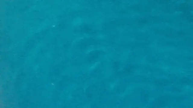 今年的“海边仲夏”美学，更松弛了