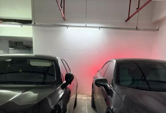 “每次下车像越狱”！新能源车主：车太大还是位太小？