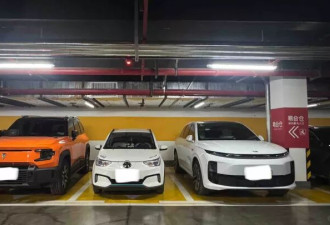 “每次下车像越狱”！新能源车主：车太大还是位太小？